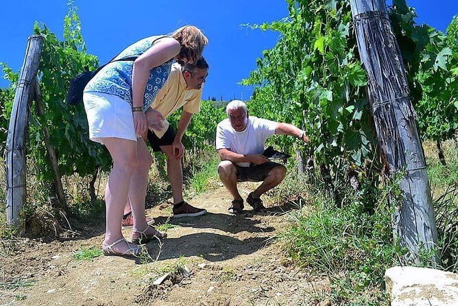 Chianti Classico and Super Tuscan 3 Winery Tour - Key highlights you’ll care about