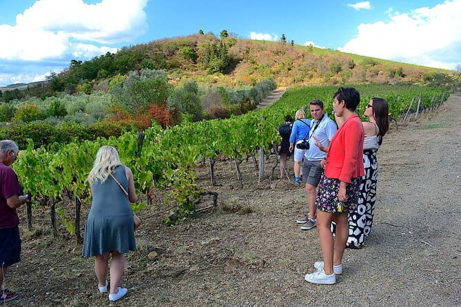 Chianti Classico and Super Tuscan 3 Winery Tour - How the Wine Day Is Structured: Two Tours, Two Tastings, Three Stops