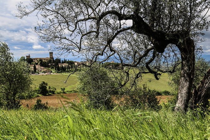 Chianti Delights: A Tale Of Two Wineries With A Vineyard Dinner - Price and value: is $106.65 a fair deal?