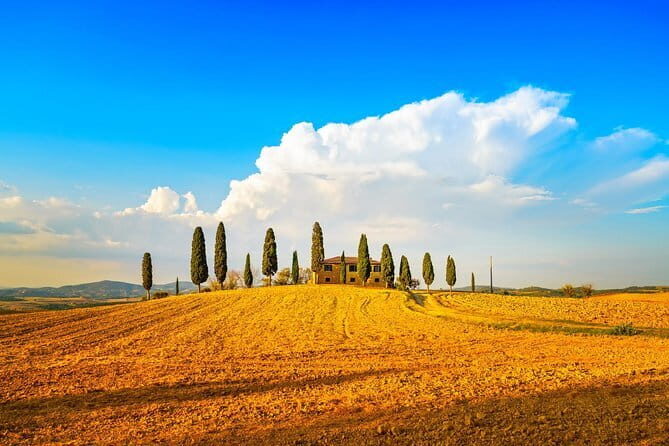 Chianti Vineyards Escape from Florence with Two Wine Tastings - Guides make or break the experience