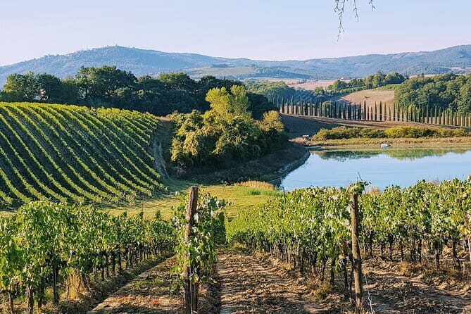Chianti Wine Tastings Day Trip at Sunset from Florence - Key Points Worth Knowing Before You Go