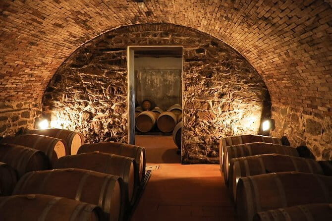 Chianti Wine Tour from Florence - Key Highlights You’ll Feel the Moment You Arrive