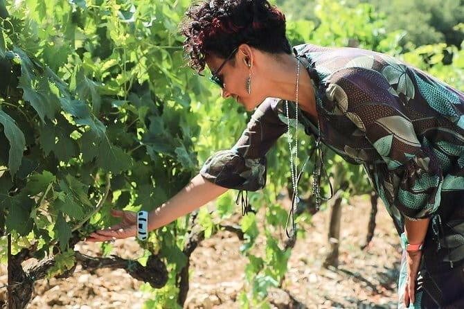 Chianti Wine Tour from Florence - First Winery Stop: Organic Wine Secrets and Tuscan Bites