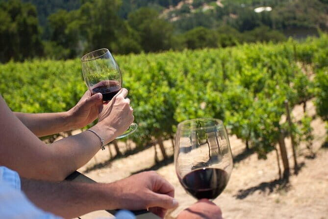 Chianti Wine Tour from Florence - What the Wine Tasting Feels Like (Wines, Food, and Pace)