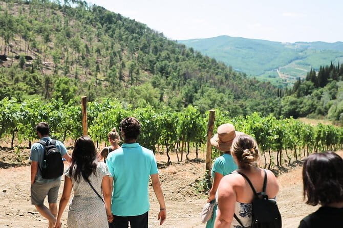 Chianti Wine Tour from Florence - Second Winery Stop in the Sienese Chianti Classico Area: Vineyard Walks and a Real Cellar Tour