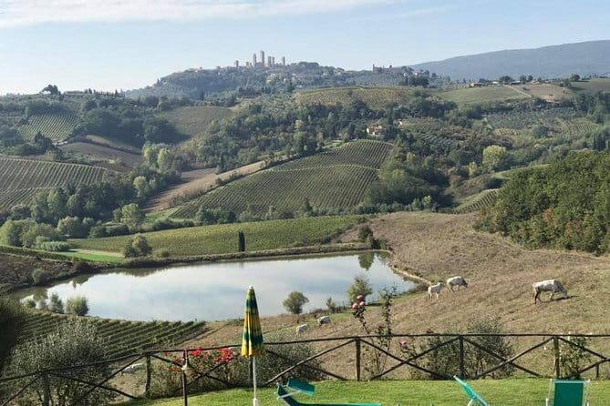 Chianti Wineries Tour with Tuscan Lunch and San Gimignano - Getting started in Florence: meeting point, timing, and the smart parts