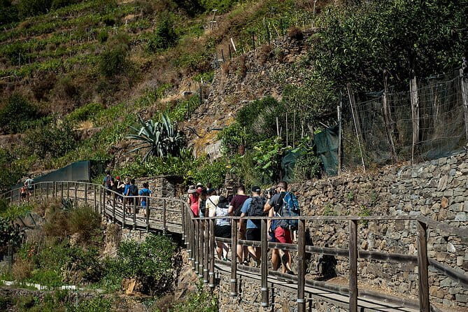 Cinque Terre Day Trip with Optional Hiking or Pisa - The Big Decision: Hike vs No-Hike (and How the Day Changes)