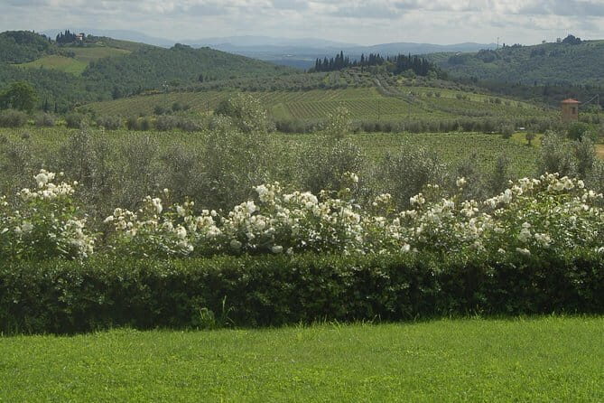 Discover Chianti Through its Wines - Key things that make this Casa Sola tour worth your time