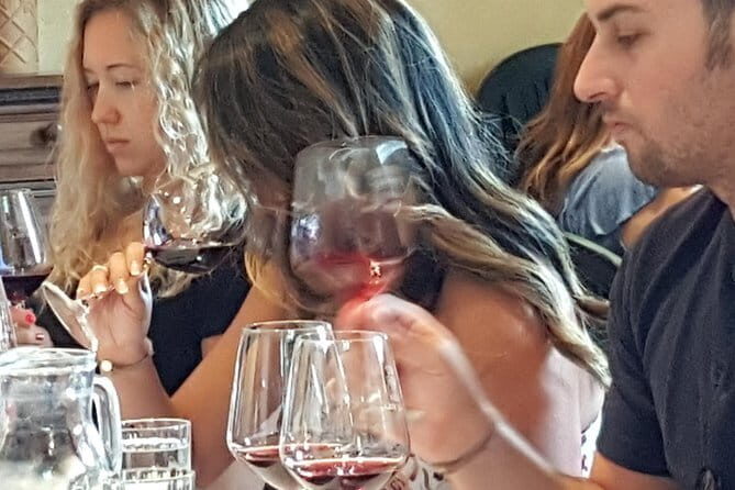 Discover Chianti Through its Wines - The vineyard and olive-field walk: where the tour starts to make sense