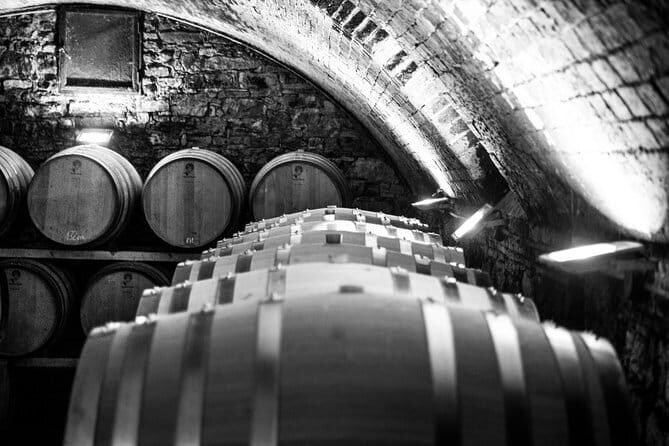 Discover Chianti Through its Wines - Inside the cellars: fermentation, then aging in different oak barrels