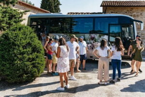 Essence of Chianti Small Group Tour with Lunch and Tastings from Florence - Stop 1: Tenuta Riseccoli and why organic hilltop estates matter