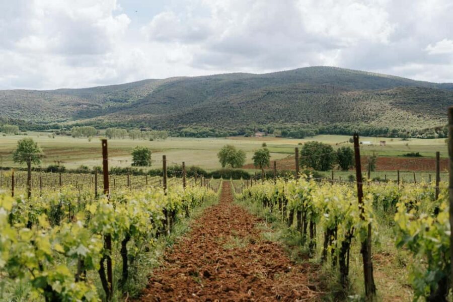 Florence: Best of Tuscany – Siena, Chianti & San Gimignano - Florence to Siena: how the day starts right