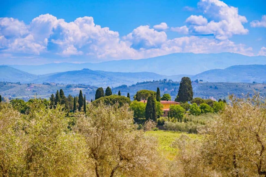 Florence: Chianti E-Bike Tour with Lunch & Two Wine Tastings - Key highlights you’ll care about