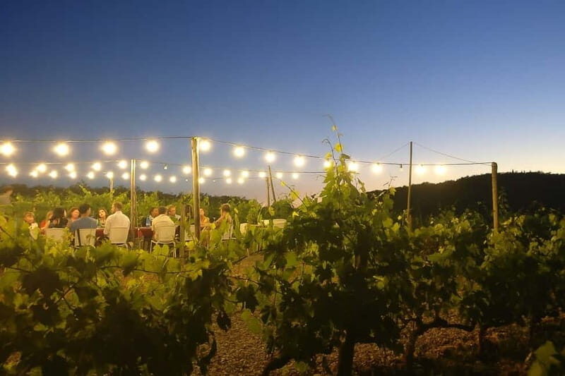 Florence: Chianti Vineyards Tour with Wine Tasting & Dinner - Should You Book This Chianti Vineyard Tour?