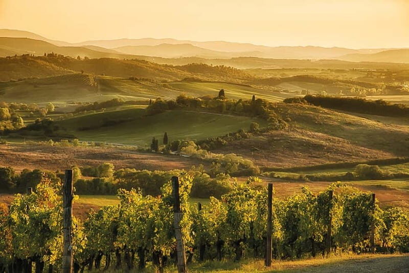 Florence: Chianti Vineyards Tour with Wine Tasting & Dinner - What You’ll Eat and Drink: Local Dishes, Farm Produce, and Included Wine
