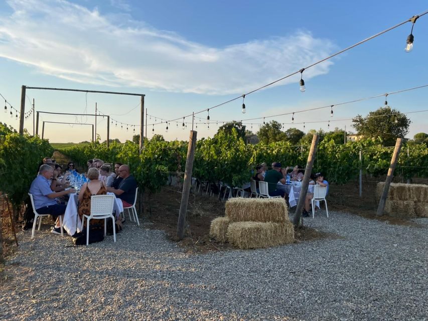 Florence: Chianti Vineyards Tour with Wine Tasting & Dinner - Price and Value: Is $123.48 Worth It?