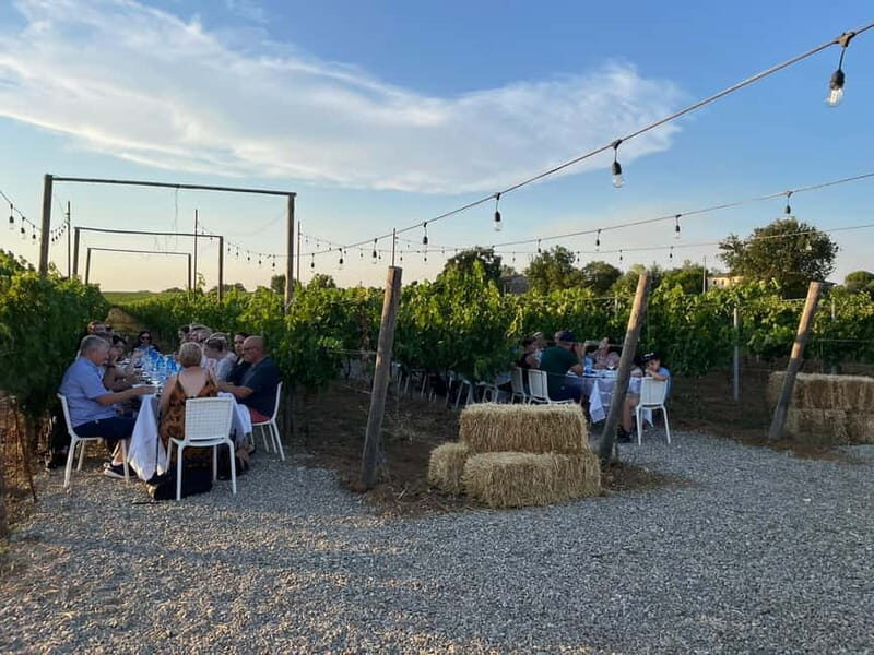 Florence: Chianti Vineyards Tour with Wine Tasting & Dinner - The Most Common Friction Points (So You Can Avoid Them)