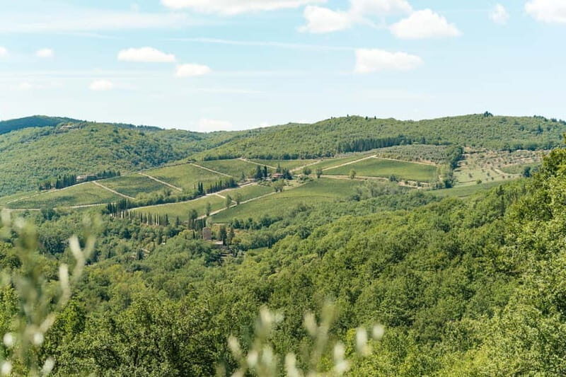 Florence: Chianti Wineries Tour with Wine Tasting - Taste like you mean it: how to handle a 3–4 wine tasting