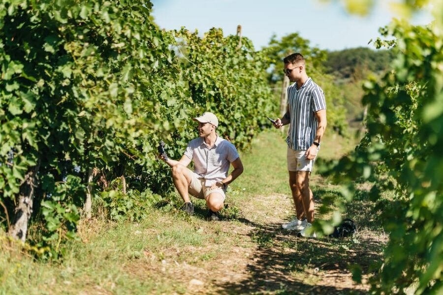 Florence: Chianti Wineries Tour with Wine Tasting - Tuscan pairings: cheese, olive oil, balsamic, and salami