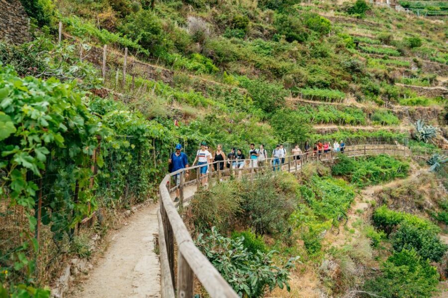Florence: Cinque Terre Day Trip with Optional Hike - Manarola: vines first, then free time to wander like you mean it