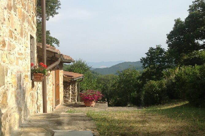 Florence Cooking Class in a Gorgeous Countryside Home with Maria - Cooking like you mean it: bruschetta, stuffed pasta, and tiramisu