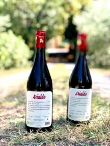 Florence: Countryside Tour with Wine Tasting & Pasta Class - From Piazza del Tiratoio to Fucecchio: The Ride and the Setup