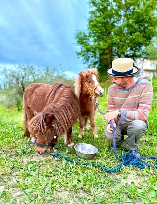 Florence: Countryside Tour with Wine Tasting & Pasta Class - Vineyards and the Botanical Garden: The Walk Part You’ll Actually Enjoy