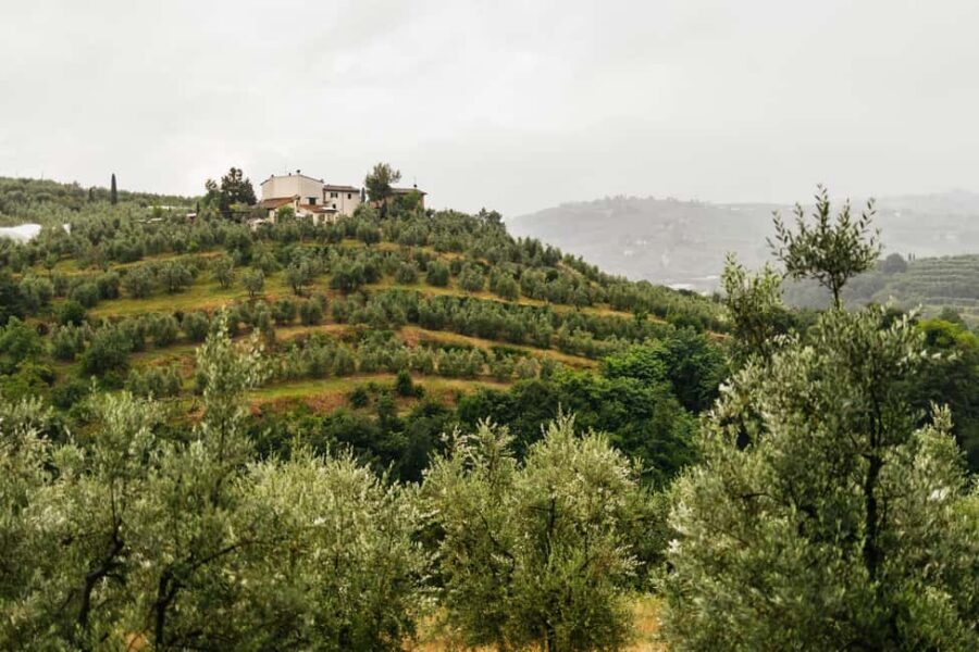 Florence: Countryside Vintage Fiat 500 Driving Tour - Why a vintage Fiat 500 is the perfect Florence countryside day