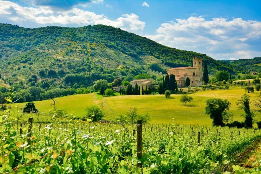 Florence: Orcia Valley, Montalcino, Pienza with Lunch & Wine - Brunello Lunch and Three Tastings in the Cloister