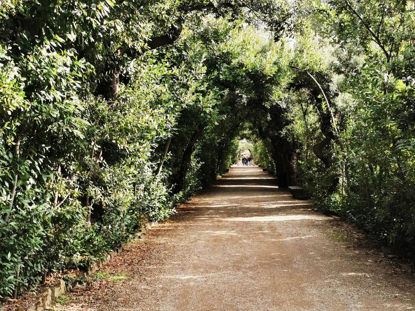 Florence: Pitti Palace, Boboli Garden, Palatine Gallery Tour - Key highlights to look for