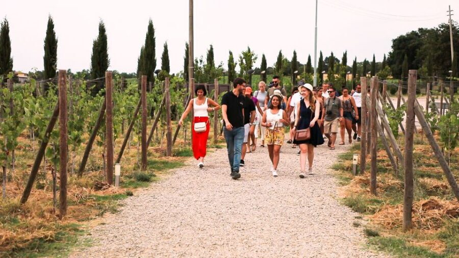 Florence: S. Gimignano, Siena, Chianti & Wine Tasting Lunch - FAQ