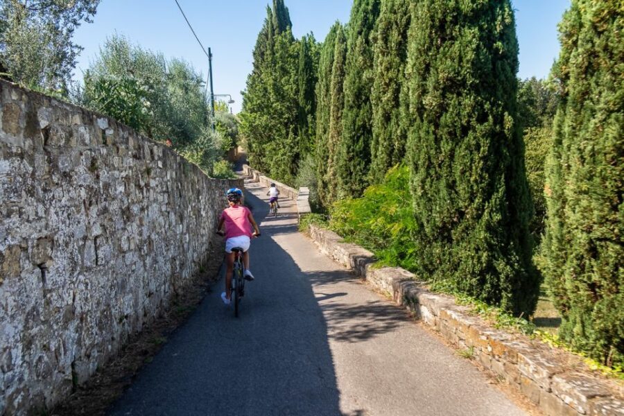 Florence: Tuscany Bike Tour with Wine & Olive Oil - Key highlights you’ll actually care about