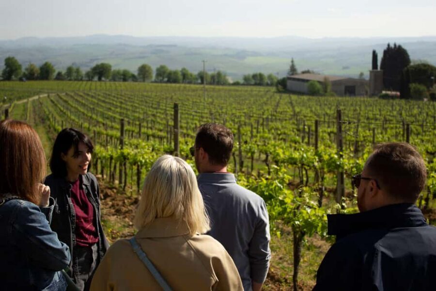 Florence: Valdorcia Wine, Brunello Montalcino, Montepulciano - Key things I’d circle on this Val d’Orcia wine day