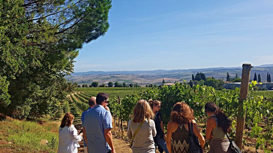 Florence: Valdorcia Wine, Brunello Montalcino, Montepulciano - Who This Tour Fits Best (and Who Should Think Twice)