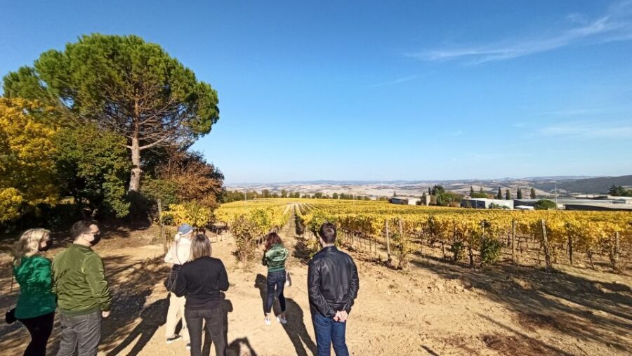 Florence: Valdorcia Wine, Brunello Montalcino, Montepulciano - Pacing and Free Time: How This Day Stays Relaxed (Even When It’s Full)