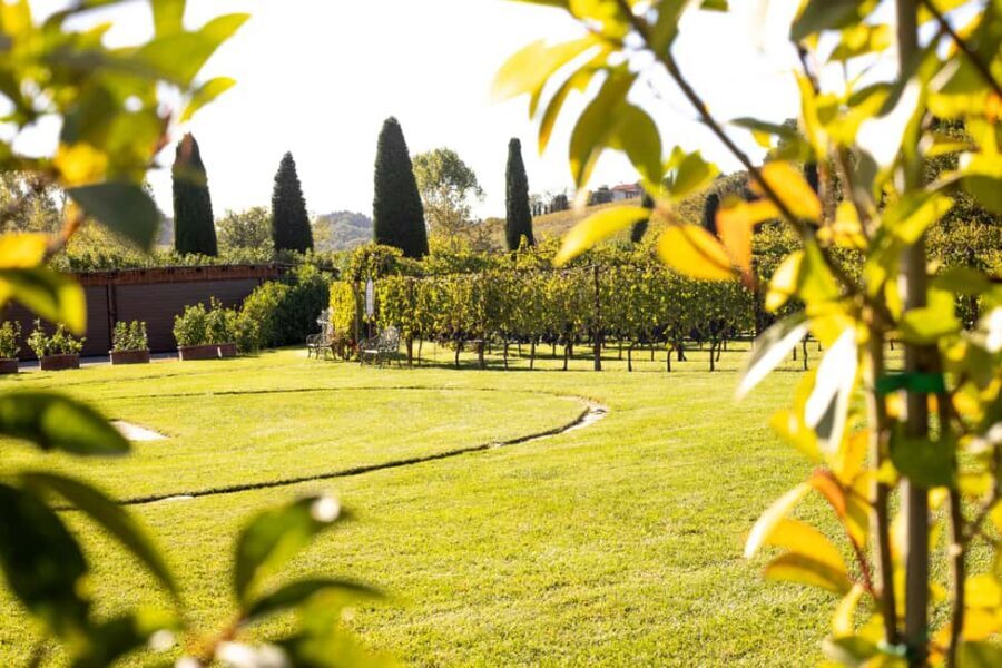 From Florence: Chianti Half-Day Afternoon Tour - Half-Day Chianti: what you’re really buying