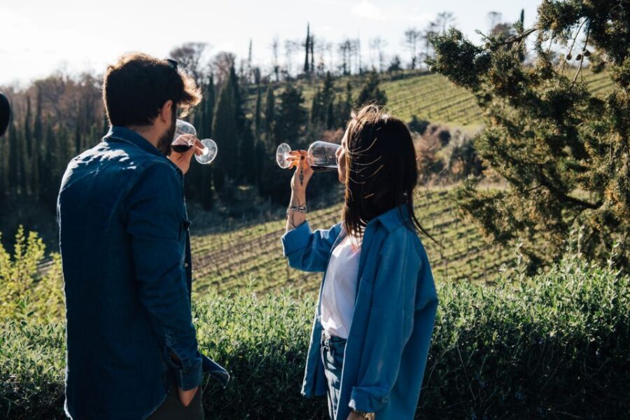 From Florence: Chianti Hills Half-Day Tour with Wine Tasting - The Vinegar Factory Stop That Makes the Day Feel More Local