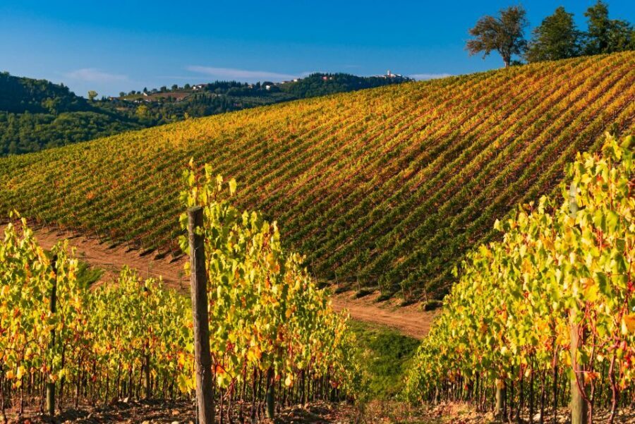 From Florence: Chianti Hills Half-Day Tour with Wine Tasting - Vineyards vs. Town Stops: Why You Might Want More Time