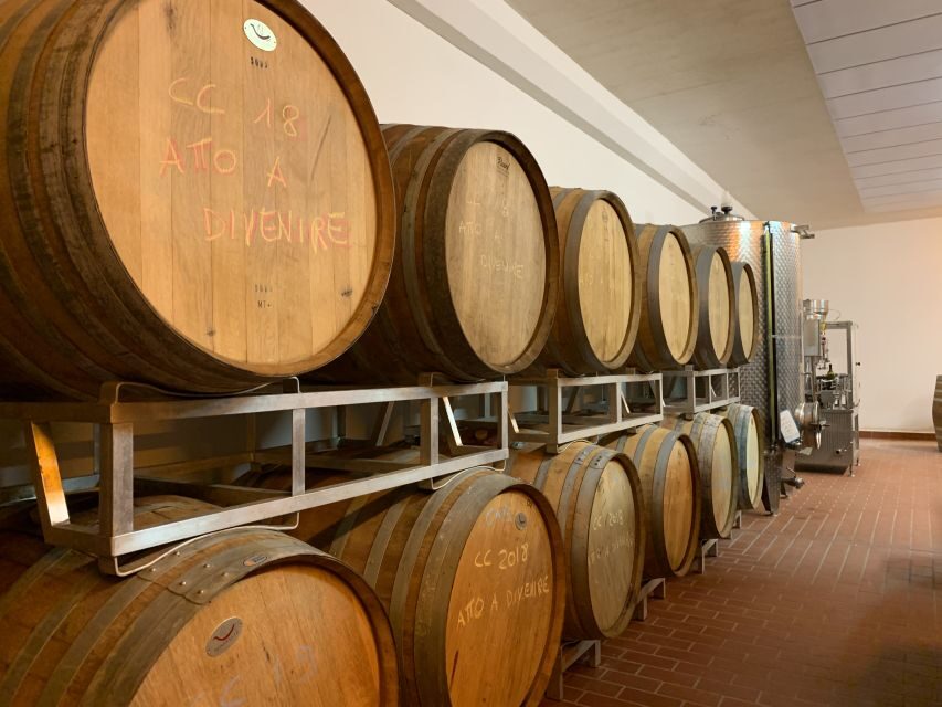 From Florence: Chianti Hills Half-Day Tour with Wine Tasting - Best Fit: Who Will Love This Half-Day (and Who Might Not)