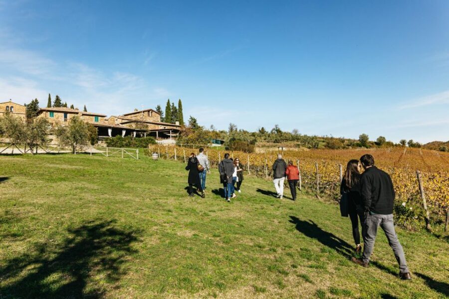 From Florence: Chianti Wine and Food Tasting Safari - Tuscan lunch with vineyard views: where the day slows down