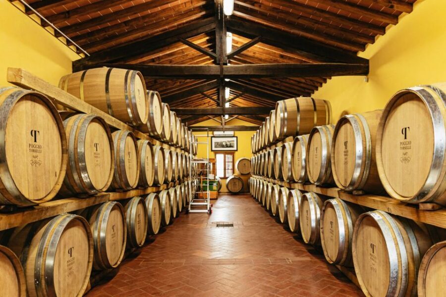 From Florence: Chianti Wine and Food Tasting Safari - Second estate in the Chianti hills: tradition plus innovation, then more award-winning pours