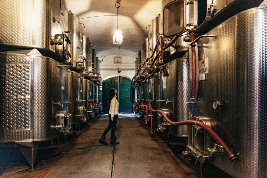 From Florence: Chianti Wine and Food Tasting Safari - What you actually get to taste: 8 wines plus olive oil, cheese, and cured meats