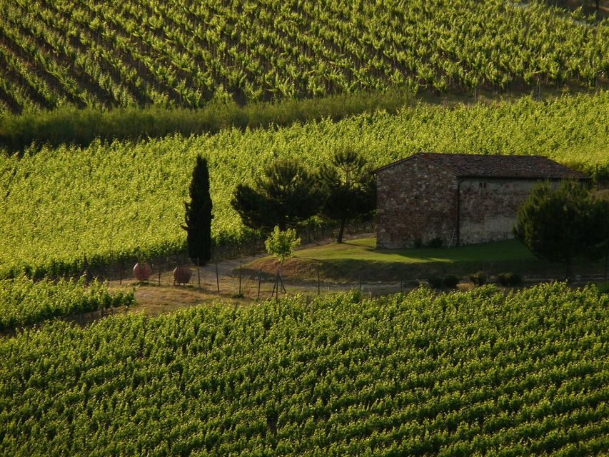 From Florence: Chianti Wine Tastings at Sunset Day Trip - Key highlights you’ll feel immediately