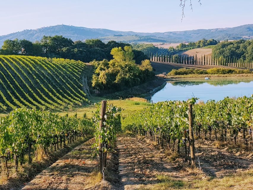 From Florence: Chianti Wine Tastings at Sunset Day Trip - Why the Chianti sunset format feels smarter than a full-day tour