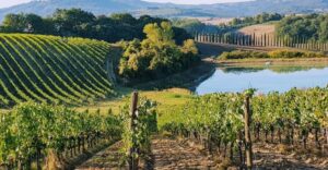 From Florence: Chianti Wine Tastings at Sunset Day Trip - Getting out of Florence: pickup, timing, and the small-group vibe