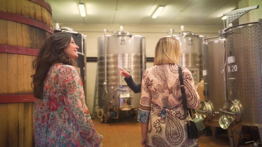 From Florence: Chianti Wine Tour with Tastings - Who should book this tour (and who should skip it)