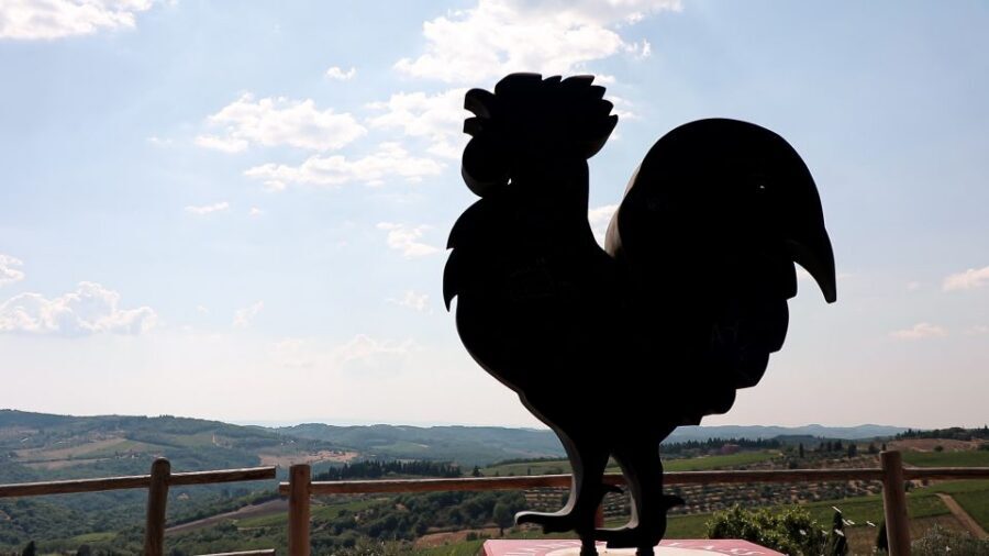 From Florence: Chianti Wine Tour with Tastings - Stop 2: The family-run organic winery with cellars and an aromatic garden