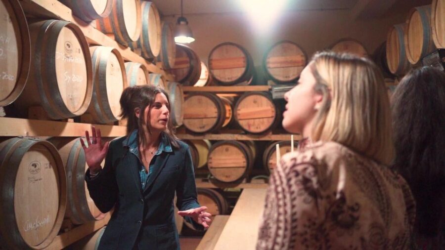 From Florence: Chianti Wine Tour with Tastings - What you’ll taste: Chianti styles and Tuscan biological products