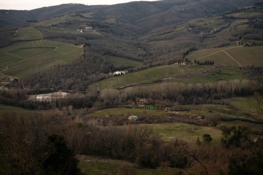 From Florence: Private Chianti Hills Tour with Tasting - Key highlights that make this Chianti tour click