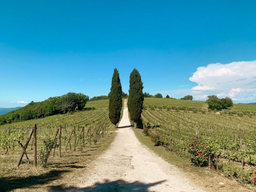 From Florence: Private Chianti Hills Tour with Tasting - The winery tour in the Chianti hills: tour first, then taste again